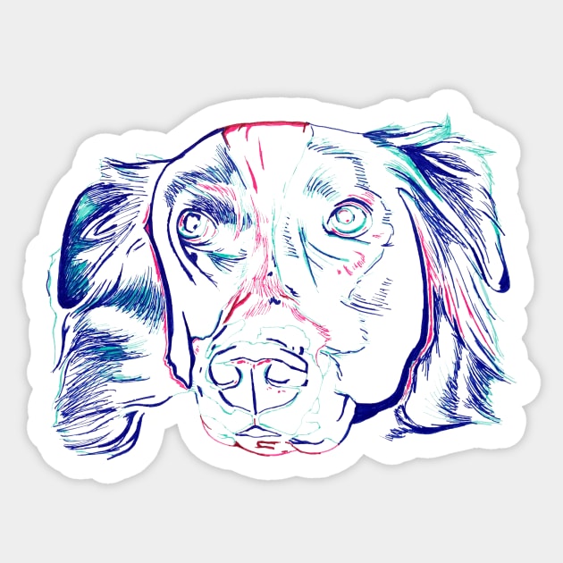 Border Collie Sticker by RaLiz